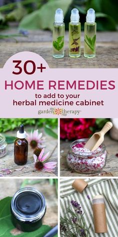 Herb Medicine, Herbal Medicine Cabinet, Diy Kosmetik, Herbal Apothecary, Natural Healing Remedies, Home Health Remedies