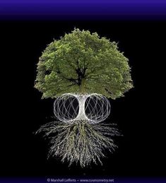 Tree Energy, Vibrational Healing, Universal Consciousness, Spirit Science, Geometry Art, Ancient Knowledge, Chakra Meditation, Energy Field