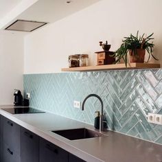 a kitchen counter with a sink and some plants