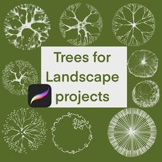 trees for landscape projects in white and green with the title, trees for landscape projects