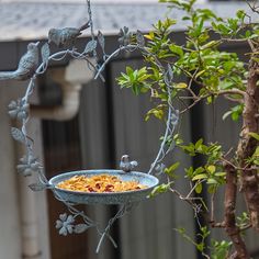 a bird feeder hanging from a tree branch with food in it's bowl on top