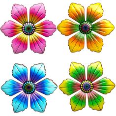 four different colored flowers are shown in the same color as they appear to be painted