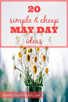 flowers in a vase with the words, 20 simple and cheap may day ideas