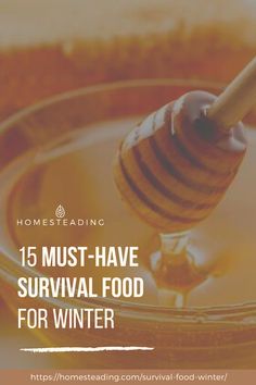 15 Must Have Survival Food For Winter | Knowing what survival food should we store is one way of being self-sufficient when disaster strikes. Here’s a list of survival food to help you get started with your emergency pantry. Emergency Pantry, Food For Winter, Winter Must Haves, Emergency Food, Survival Food, Winter Food