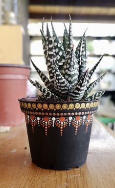 a potted plant sitting on top of a wooden table