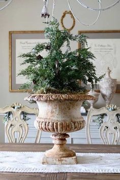 a potted plant sitting on top of a table next to a chandelier