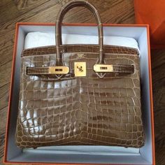 Birkin Bags, Alligator Handbags, Brand Handbags, Womens Designer Bags, Perfect Handbag, Handbag Heaven, Beautiful Handbags, Hermes Handbags, Bag Luxury