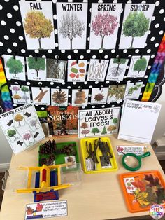 a table topped with lots of different types of trees