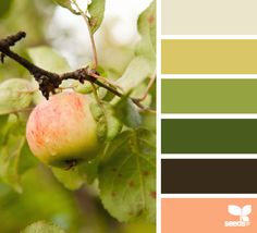 an apple is growing on the tree with color swatches