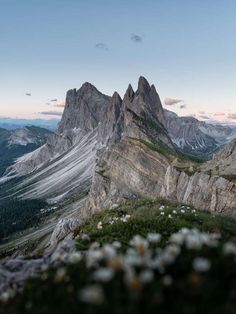 the mountains are covered with snow and flowers at sunset or dawn in the summertime