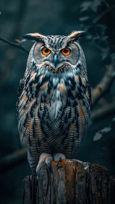 an owl with orange eyes sitting on top of a wooden post in front of trees