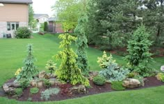 a garden with trees and rocks in the grass near a house on a cloudy day