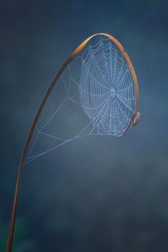 a spider web hanging from the side of a metal pole in front of a dark blue sky