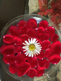 a glass bowl filled with red and white flowers