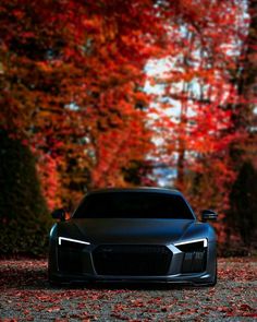 an image of a car driving down the road in front of trees with red leaves