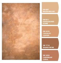 an image of a brown color scheme with different shades and colors to choose from for the wall