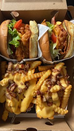 two hot dogs with cheese fries and other food items in a cardboard box on top of a table