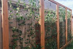 a wooden fence with vines growing on it and a brick wall in the back ground