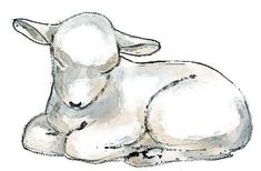 a drawing of a lamb laying down on the ground