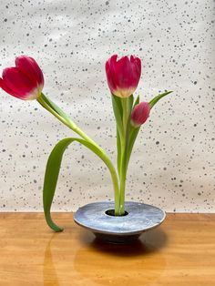 two red tulips in a silver vase on a wooden table next to a white wall