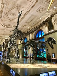 a museum filled with lots of dinosaur statues