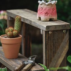 a potted cactus sitting on top of a wooden bench next to a planter