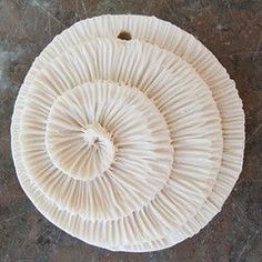 a close up of a mushroom on a table