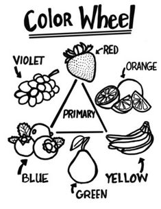 the color wheel is filled with fruits and vegetables