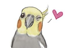 a drawing of a bird with a heart in the background