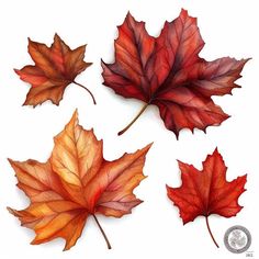 Fall Leaves Clipart in Photorealistic Style: HD Vector, 4K Doodle Fall, Fall Leaves Clipart, Fashion And Textiles, Leaves Clipart, Art Leaves, Cactus Drawing, Abstract Art Painting Techniques, Leaf Clipart, Leaf Drawing