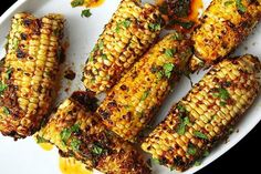 grilled corn on the cob with sauce and herbs served on a white plate