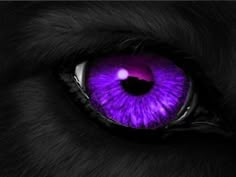 an animal's purple eye is shown in this image