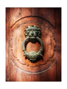 an ornate door knockle with a lion's head on it