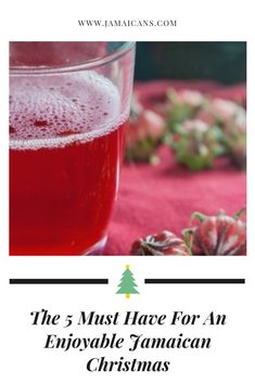 the 5 must have for an enjoyable tantrican christmas - www janicaans com