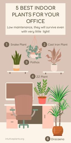 an office desk with plants on it and the words 5 best indoor plants for your office