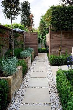 an outdoor garden with stones and plants