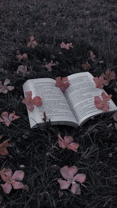 an open book laying in the grass with pink flowers on it's side,