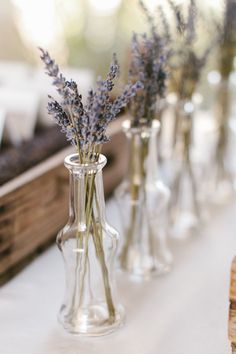 several vases filled with lavender flowers on a table