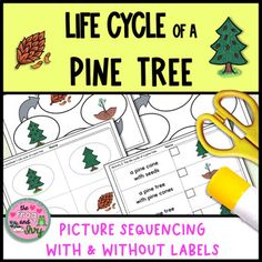 the life cycle of a pine tree is shown with scissors and paper on it,