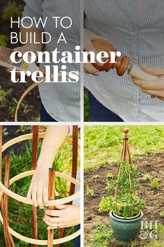 how to build a container trellis in the garden with pictures and text overlay