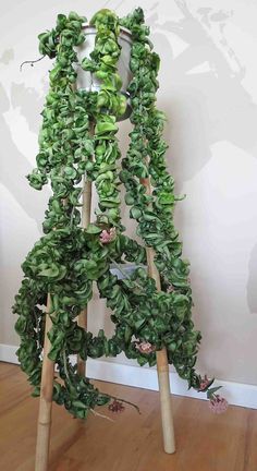 a green plant is hanging on a wooden stand