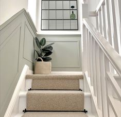 the stairs are decorated with plants and decorations