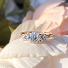 three stone diamond ring on white flower petals