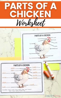 the parts of a chicken worksheet is shown with an orange marker on it