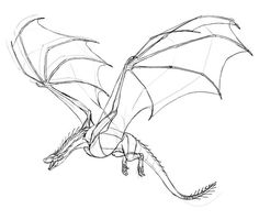 a black and white drawing of a dragon flying through the air with its wings spread