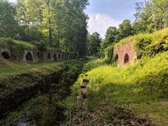 an old stone tunnel in the middle of a lush green forest with water running through it