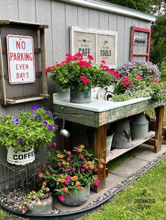 several potted plants are on display in front of a building with no parking signs