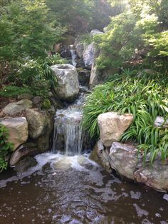 a small waterfall running through a lush green forest filled with lots of rocks and plants