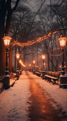 a snowy street with benches and lights on it