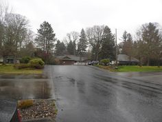 an empty street with houses and trees in the background on a gloomy, overcast day